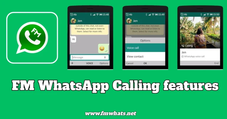 FM WhatsApp Calling features