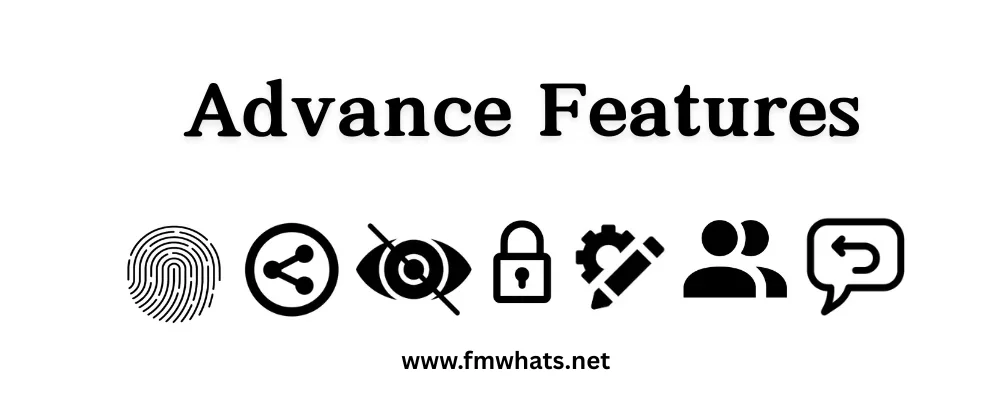 FM WhatsApp Features
